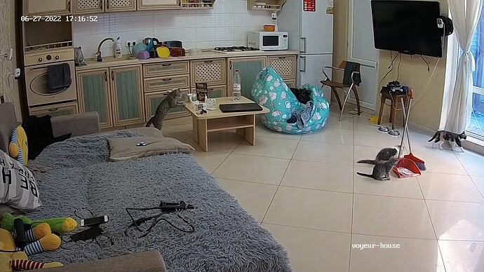 realm67-cam14-1656358067
