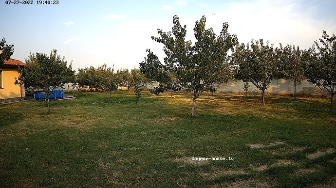 realm59-cam117-1658939963