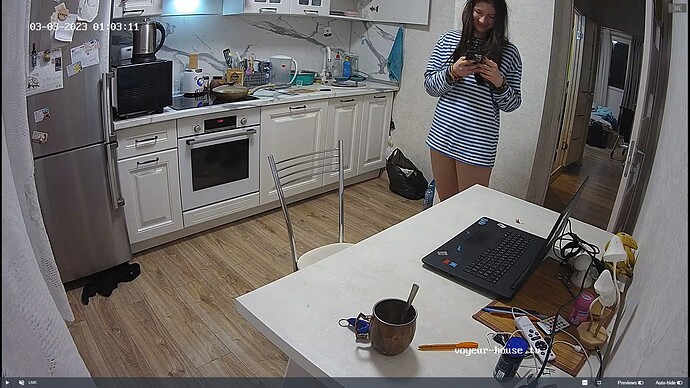 Ashampoo_Snap_jeudi 2 mars 2023_23h4m21s_006_Krosh & Simon apartment with reallifecam cameras at Voyeur House TV - Google Chrome