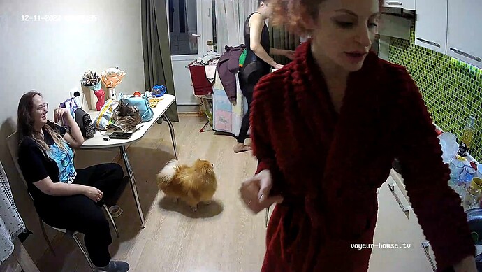 realm18-cam113-1670739016