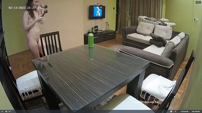 Ashampoo_Snap_lundi 13 février 2023_21h28m0s_025_Tonk apartment with reallifecam cameras at Voyeur House TV - Google Chrome