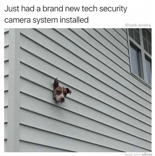 FB_IMG_1679872066625