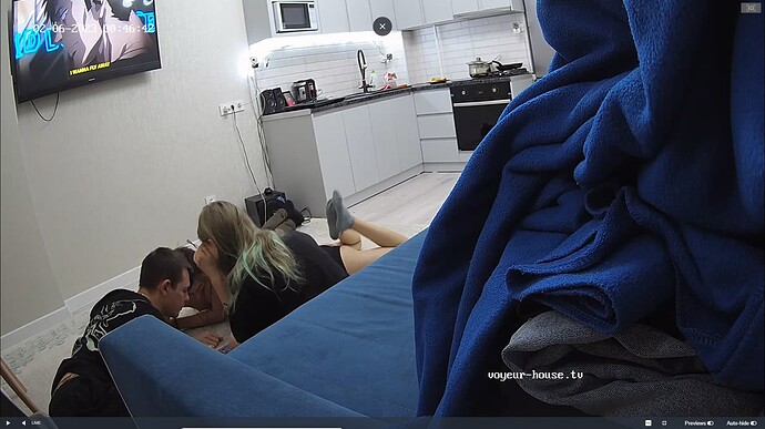 Ashampoo_Snap_dimanche 5 février 2023_18h47m40s_007_Silver & Bradley apartment with reallifecam cameras at Voyeur House TV - Google Chrome