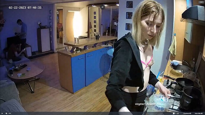 Ashampoo_Snap_mercredi 22 février 2023_2h41m13s_036_Kitchen camera at Tonk reallifecam apartment at Voyeur House TV (cam11) - Google Chrome