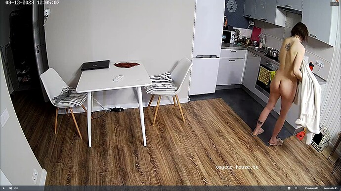 Ashampoo_Snap_lundi 13 mars 2023_11h5m43s_014_Kitchen camera at Jack & Rose reallifecam apartment at Voyeur House TV (cam11) - Google Chrome