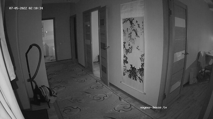 realm87-cam110-1656961867