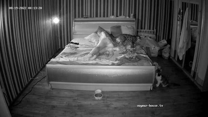 realm67-cam18-1660857233