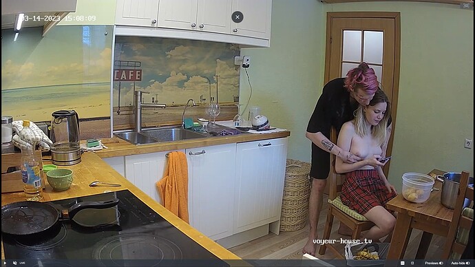 Ashampoo_Snap_mardi 14 mars 2023_13h9m43s_024_Jack & Rose apartment with reallifecam cameras at Voyeur House TV - Google Chrome