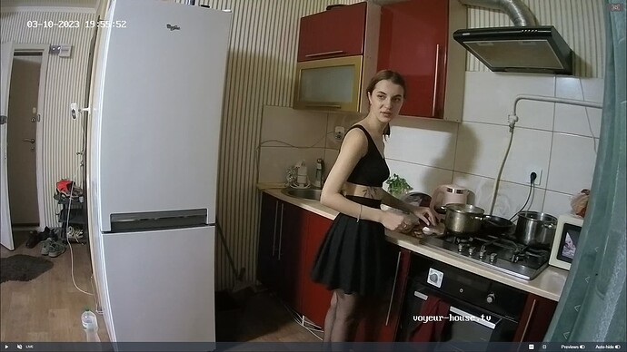 Ashampoo_Snap_vendredi 10 mars 2023_18h56m49s_054_Ambar & Dane apartment with reallifecam cameras at Voyeur House TV - Google Chrome