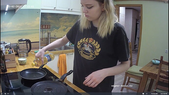 Ashampoo_Snap_jeudi 2 mars 2023_17h23m42s_008_Jakar & Lilka apartment with reallifecam cameras at Voyeur House TV - Google Chrome
