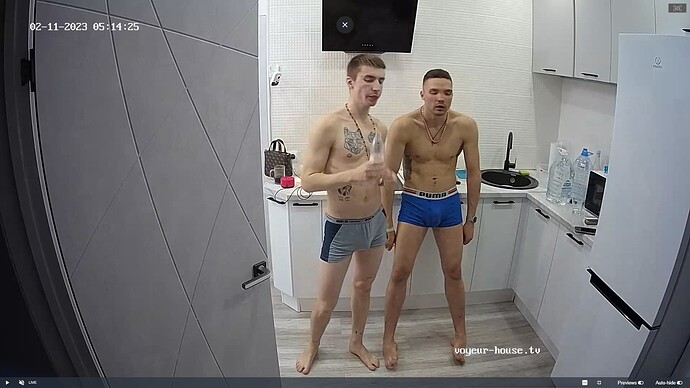 Ashampoo_Snap_samedi 11 février 2023_3h15m15s_012_Kitchen camera at Lillian reallifecam apartment at Voyeur House TV (cam11) - Google Chrome