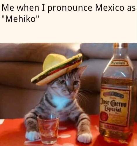 FB_IMG_1679357447438