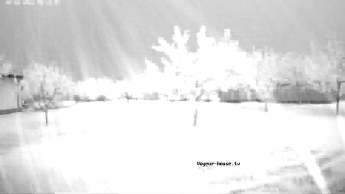realm59-cam117-1661029912