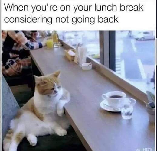 FB_IMG_1678891605032