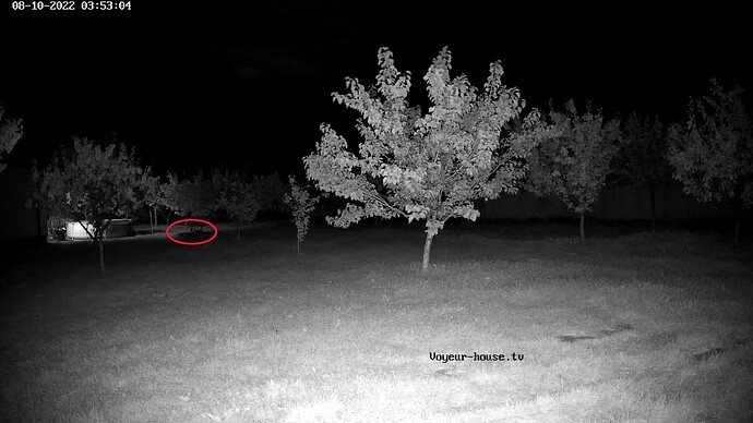 realm59-cam117-1660092818