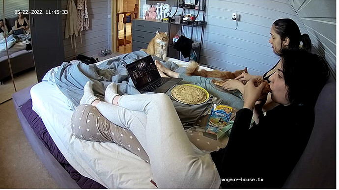 Screenshot 2022-05-22 at 10-45-46 Voyeur House TV 🔥 – #1 FREE Source for hidden real life cams