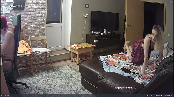 Ashampoo_Snap_vendredi 10 février 2023_17h35m19s_006_Living room camera at Hut TV reallifecam apartment at Voyeur House TV (cam14) - Google Chrome