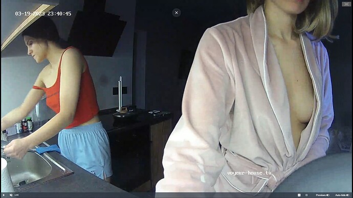 Ashampoo_Snap_dimanche 19 mars 2023_21h43m37s_043_Living room camera at Barbara reallifecam apartment at Voyeur House TV (cam14) - Google Chrome