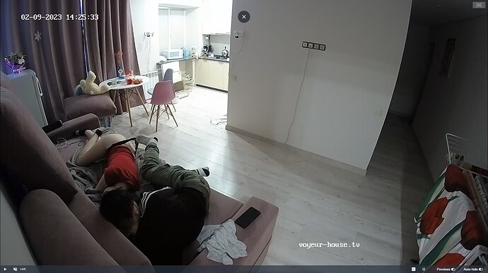 Ashampoo_Snap_jeudi 9 février 2023_12h27m4s_009_Kitchen camera at Mira & Henry reallifecam apartment at Voyeur House TV (cam11) - Google Chrome