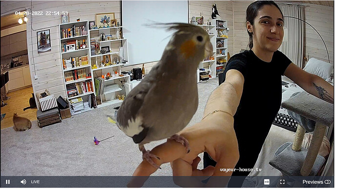 Screenshot 2022-04-28 at 21-55-20 Voyeur House TV 🔥 – #1 FREE Source for hidden real life cams