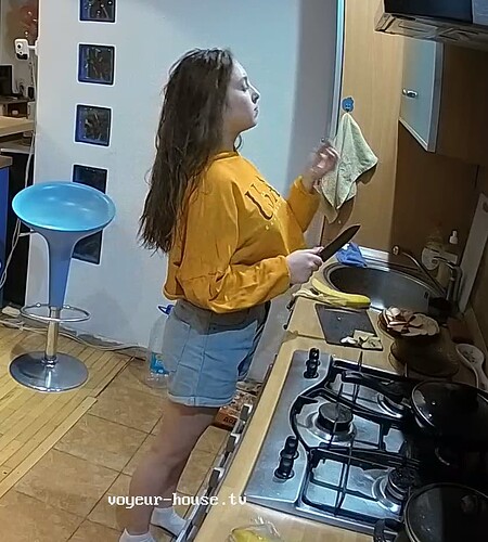Ashampoo_Snap_jeudi 23 février 2023_19h1m11s_012_Hall camera at Medea reallifecam apartment at Voyeur House TV (cam110) - Google Chrome