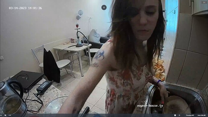 Ashampoo_Snap_mardi 14 mars 2023_12h2m21s_011_Hut TV apartment with reallifecam cameras at Voyeur House TV - Google Chrome
