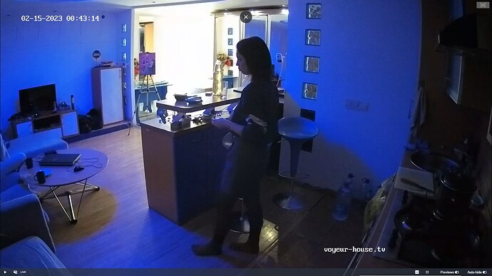 Ashampoo_Snap_mardi 14 février 2023_19h43m51s_080_Tonk apartment with reallifecam cameras at Voyeur House TV - Google Chrome
