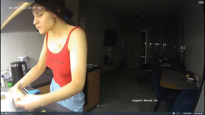 Ashampoo_Snap_dimanche 19 mars 2023_21h39m20s_042_Living room camera at Barbara reallifecam apartment at Voyeur House TV (cam14) - Google Chrome