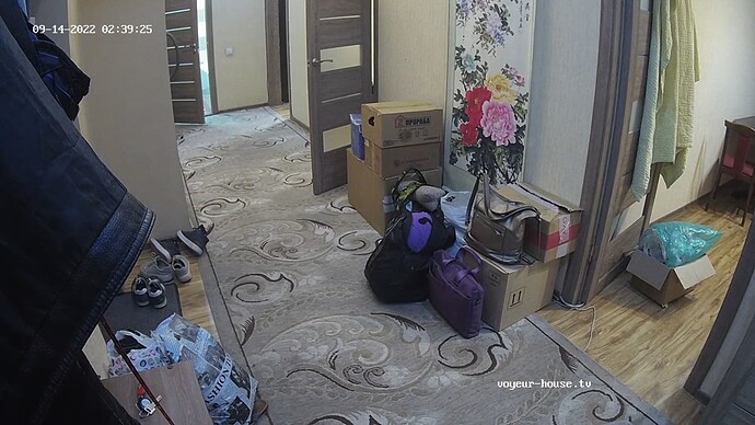 realm87-cam110-1663098002