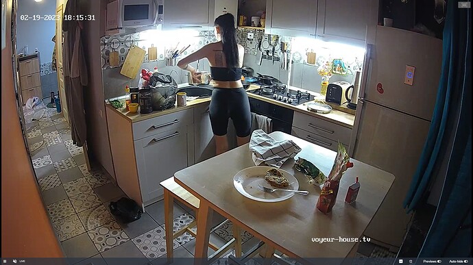 Ashampoo_Snap_dimanche 19 février 2023_16h16m10s_002_Nikki apartment with reallifecam cameras at Voyeur House TV - Google Chrome