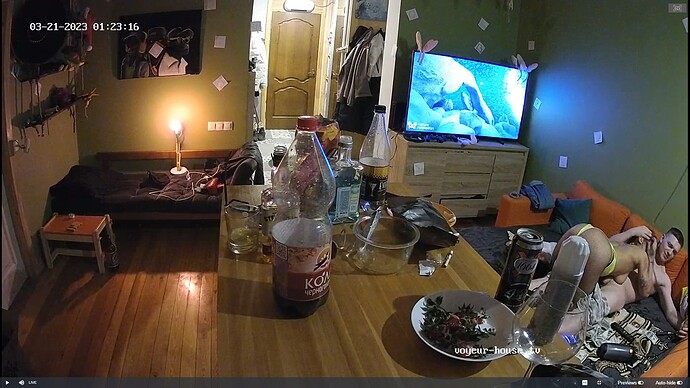 Ashampoo_Snap_lundi 20 mars 2023_23h26m42s_021_Jenya DADYA & friends apartment with reallifecam cameras at Voyeur House TV - Google Chrome