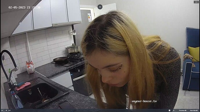 Ashampoo_Snap_dimanche 5 février 2023_15h16m11s_002_Living room camera at Artem reallifecam apartment at Voyeur House TV (cam14) - Google Chrome