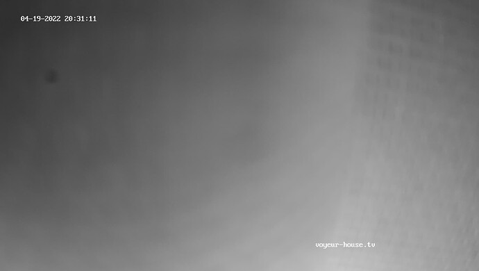 realm45-cam15-1650389499