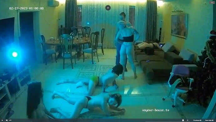 Ashampoo_Snap_jeudi 16 février 2023_23h9m52s_059_Goldie apartment with reallifecam cameras at Voyeur House TV - Google Chrome