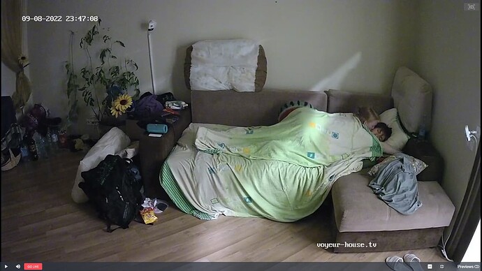 Living room (11)