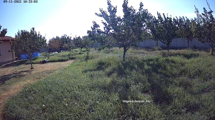 realm59-cam117-1662881617