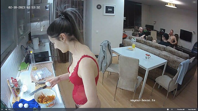 Ashampoo_Snap_vendredi 17 février 2023_20h54m33s_065_JGrim & Goanshee apartment with reallifecam cameras at Voyeur House TV - Google Chrome