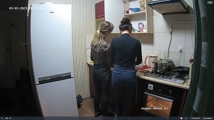 Ashampoo_Snap_vendredi 3 mars 2023_19h3m16s_021_Dima & Sandra apartment with reallifecam cameras at Voyeur House TV - Google Chrome