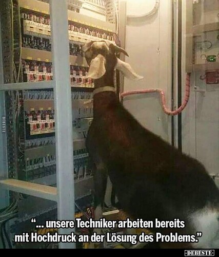 f2944d26a2282fd95506b0498afff6c13662