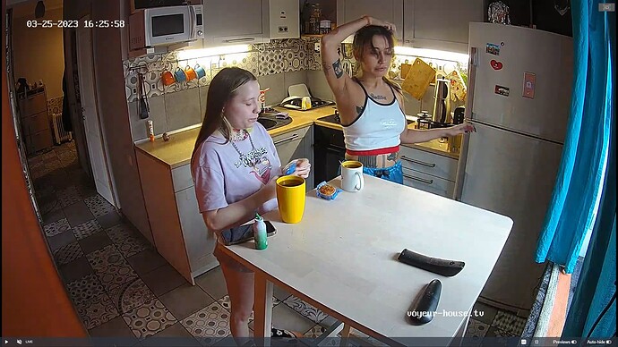 Ashampoo_Snap_samedi 25 mars 2023_14h26m46s_006_Barbara apartment with reallifecam cameras at Voyeur House TV - Google Chrome