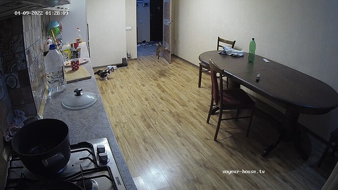 realm87-cam11-1649444095