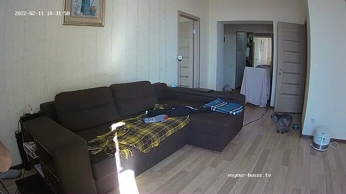 realm8-cam15-1644569008