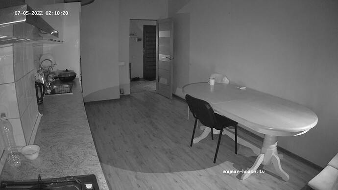realm87-cam11-1656961853