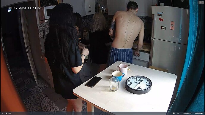 Ashampoo_Snap_vendredi 17 mars 2023_9h42m37s_024_Kitchen camera at Faye reallifecam apartment at Voyeur House TV (cam12) - Google Chrome