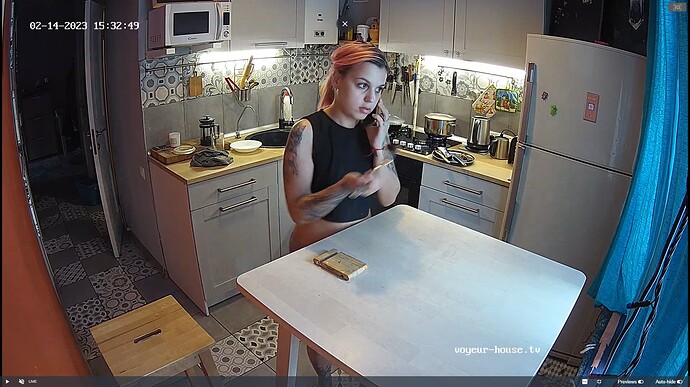 Ashampoo_Snap_mardi 14 février 2023_13h33m35s_007_Kitchen camera at Lillian reallifecam apartment at Voyeur House TV (cam11) - Google Chrome