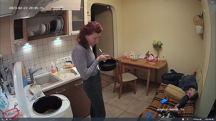Ashampoo_Snap_jeudi 23 février 2023_19h5m48s_016_Hall camera at Medea reallifecam apartment at Voyeur House TV (cam110) - Google Chrome