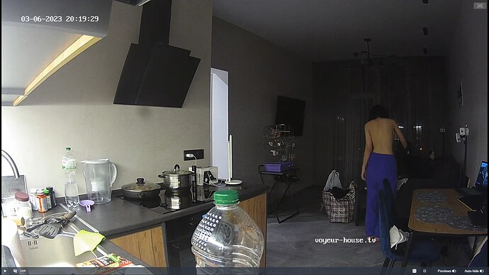 Ashampoo_Snap_lundi 6 mars 2023_18h20m56s_071_Living room camera at Rachel reallifecam apartment at Voyeur House TV (cam14) - Google Chrome