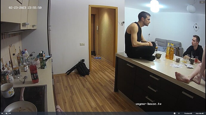 Ashampoo_Snap_jeudi 23 février 2023_18h56m26s_010_Hall camera at Medea reallifecam apartment at Voyeur House TV (cam110) - Google Chrome