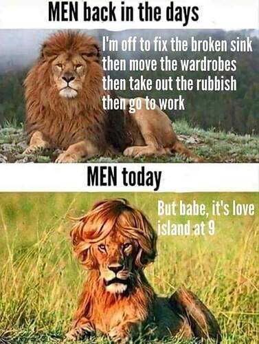 FB_IMG_1674390170929
