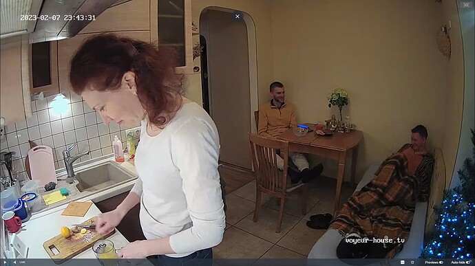 Ashampoo_Snap_mardi 7 février 2023_22h44m9s_057_Nikki apartment with reallifecam cameras at Voyeur House TV - Google Chrome